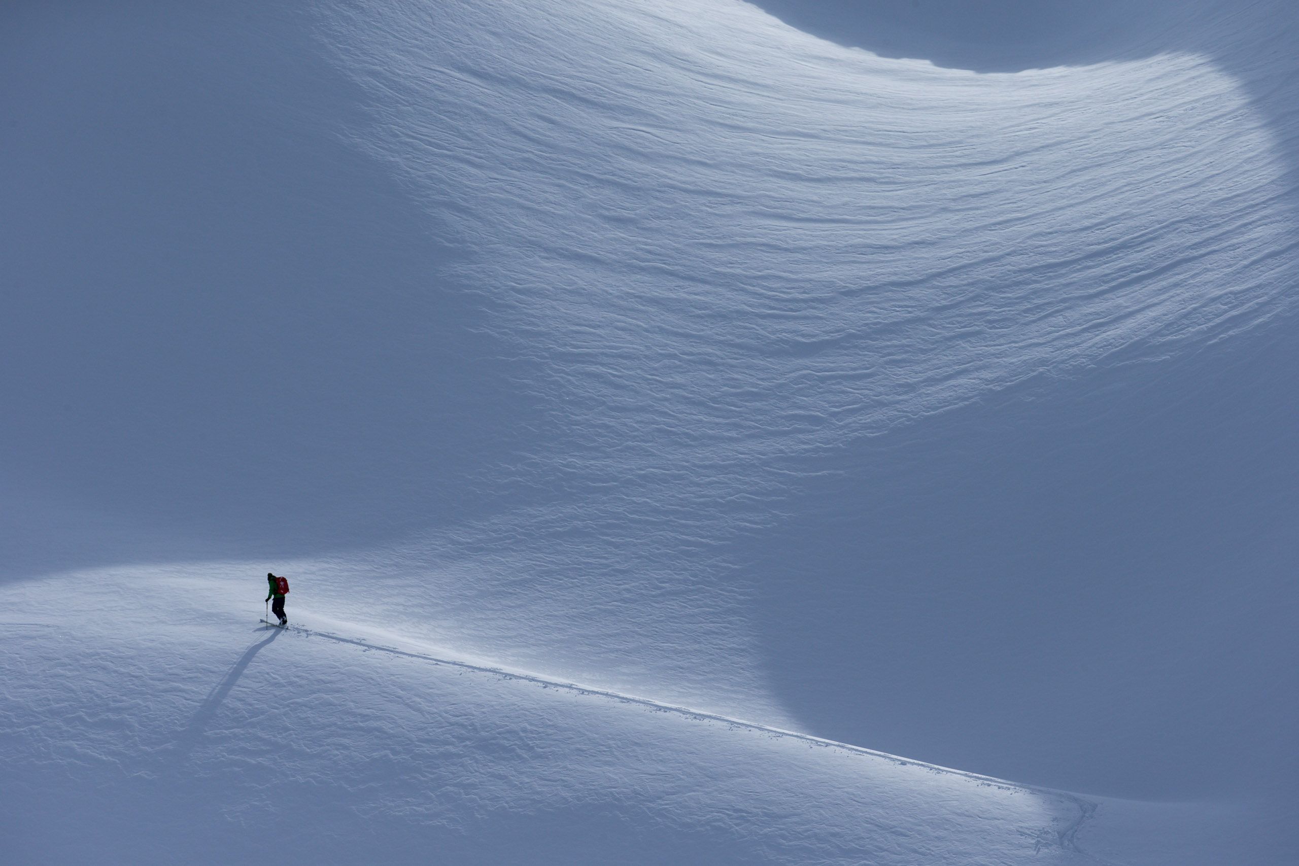 web17_20160216_Revelstoke_FreerideTouring_8102.jpg