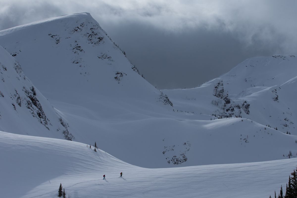 20160216_Revelstoke_FreerideTouring_8555.jpg